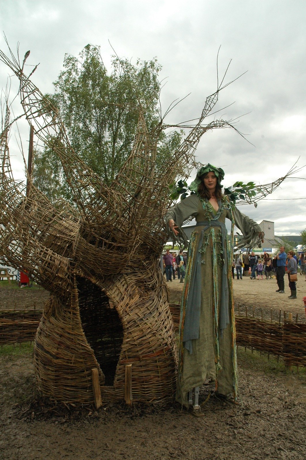 Ancient Oak willow sculpture