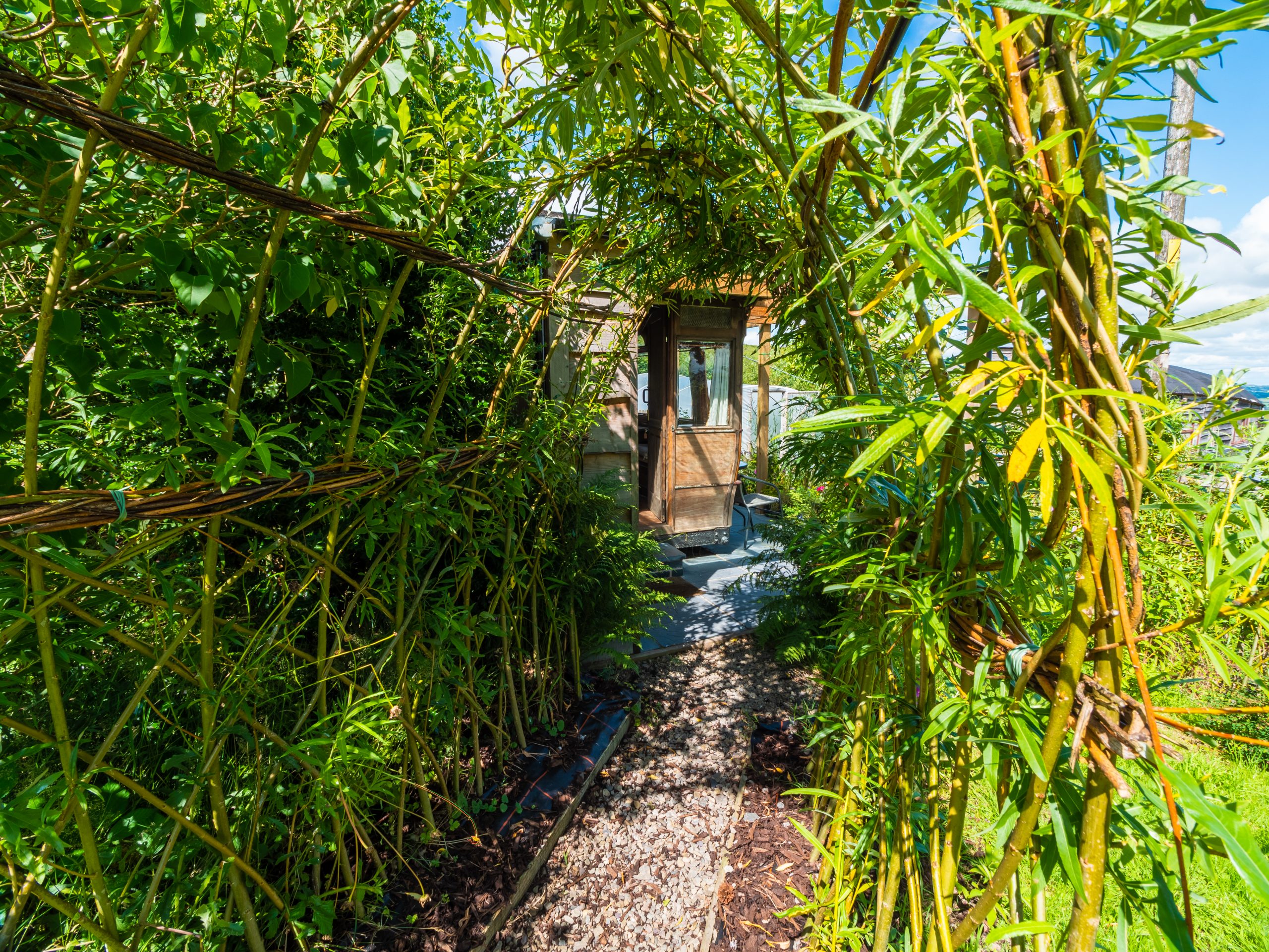 Living willow, Millennium Garden, Llanidloes