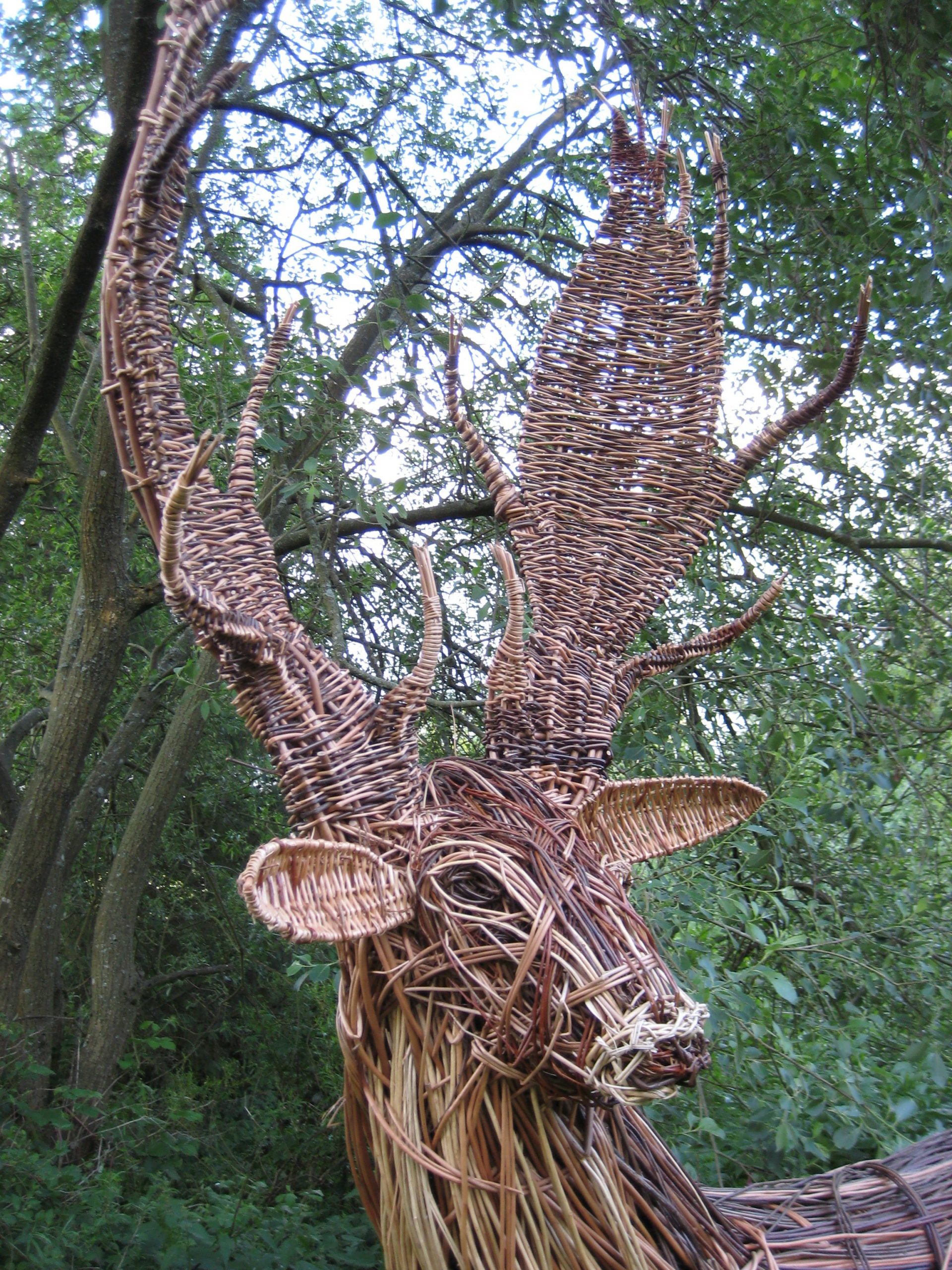 Willow stag sculpture