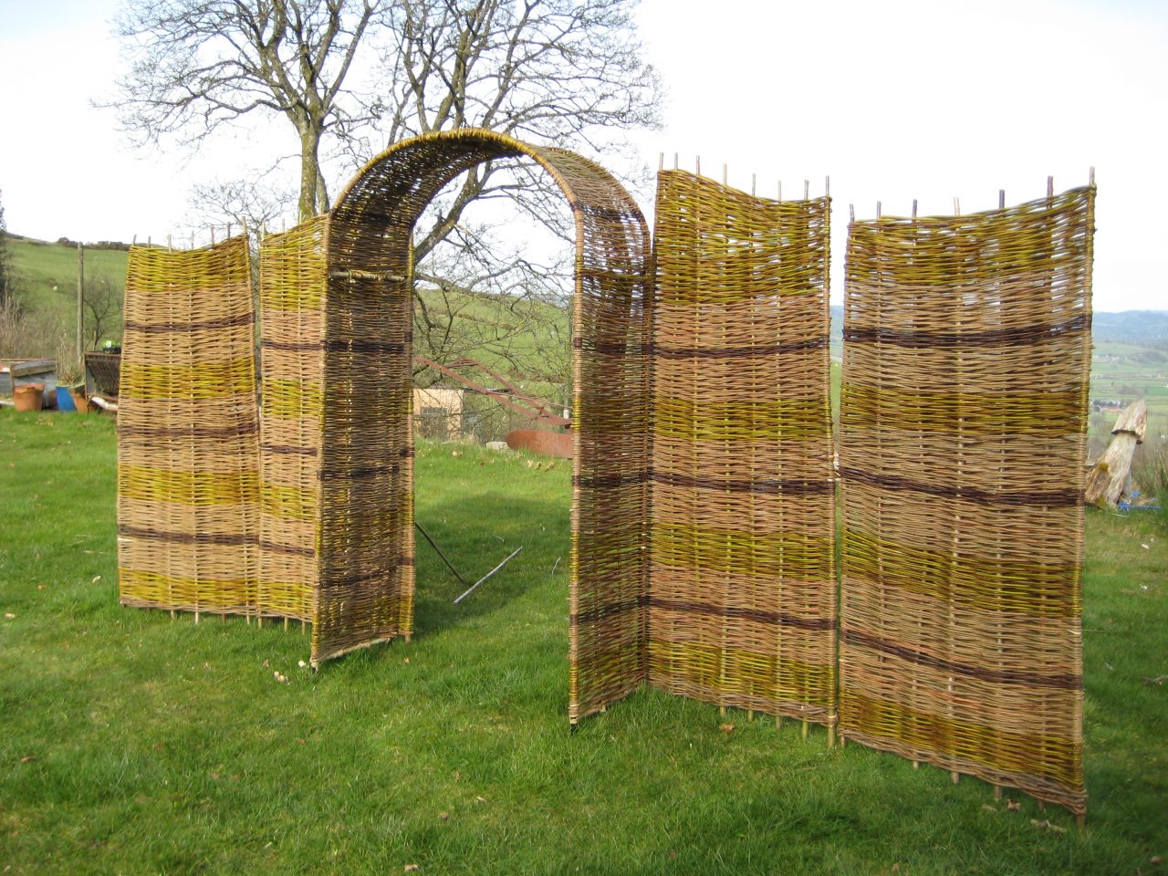National Trust willow commission