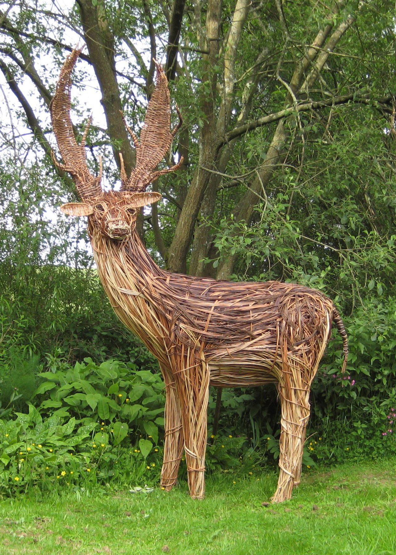 Willow stag sculpture