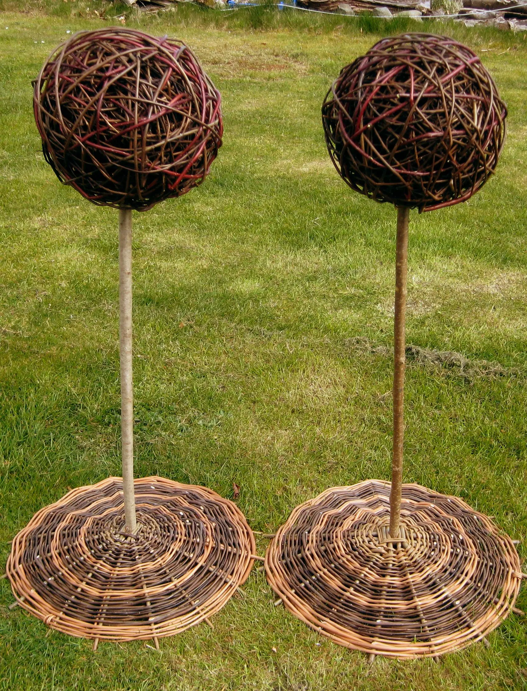 National Trust willow commission